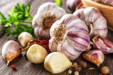 سیر،اخبار پزشکی،خبرهای پزشکی سیر،اخبار پزشکی،خبرهای پزشکی