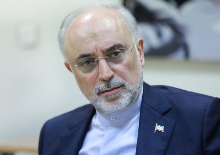علی اکبر صالحی،اخبار سیاست خارجی،خبرهای سیاست خارجی علی اکبر صالحی،اخبار سیاست خارجی،خبرهای سیاست خارجی