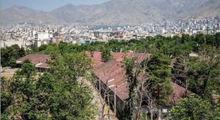 پادگان ۰۶،اخبار اجتماعی،خبرهای اجتماعی پادگان ۰۶،اخبار اجتماعی،خبرهای اجتماعی
