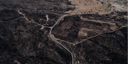 جنگل خائیز،اخبار اجتماعی،خبرهای اجتماعی جنگل خائیز،اخبار اجتماعی،خبرهای اجتماعی