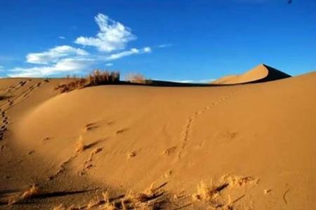 بیابان شدن گلستان،اخبار اجتماعی،خبرهای اجتماعی