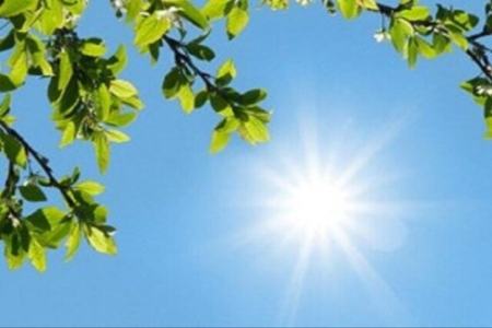 افزایش دمای هوا در شمال کشور،اخبار اجتماعی،خبرهای اجتماعی