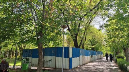 قطع درختان در بوستان تهران،اخبار اجتماعی،خبرهای اجتماعی