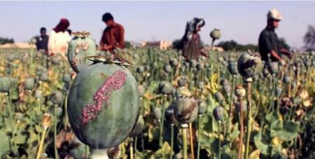 قاچاق مواد مخدر از ایران به عراق،اخبار اجتماعی،خبرهای اجتماعی قاچاق مواد مخدر از ایران به عراق،اخبار اجتماعی،خبرهای اجتماعی