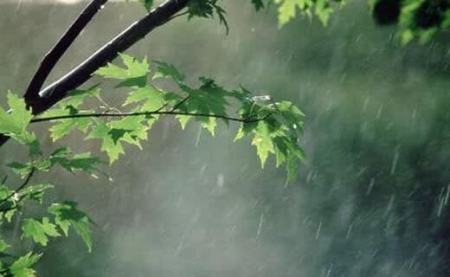 هواشناسی ایران،اخبار اجتماعی،خبرهای اجتماعی