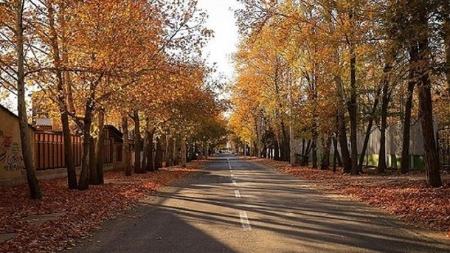 پاییز،اخبار اجتماعی،خبرهای اجتماعی