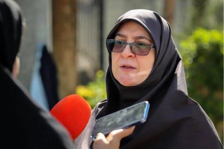 سخنگوی دولت،اخبار سیاسی،خبرهای سیاسی سخنگوی دولت،اخبار سیاسی،خبرهای سیاسی
