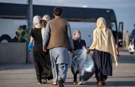 افغانی ها در ایران،اخبار اجتماعی،خبرهای اجتماعی