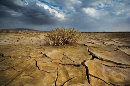 خشکسالی در ایران،اخبار اجتماعی،خبرهای اجتماعی خشکسالی در ایران،اخبار اجتماعی،خبرهای اجتماعی