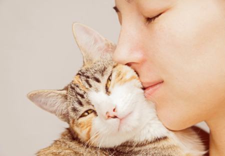 گربه،اخبار گوناگون،خبرهای گوناگون