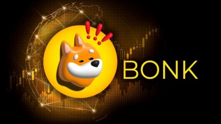 Bonk Coin چیست Bonk Coin چیست