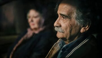 اخبار،اخبار جدید،اخبار روز