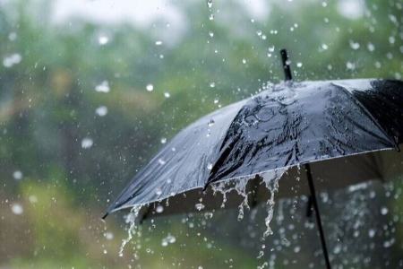 رگبار شدید باران،اخبار اجتماعی،خبرهای اجتماعی رگبار شدید باران،اخبار اجتماعی،خبرهای اجتماعی
