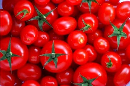 قیمت گوجه،اخبار اقتصادی،خبرهای اقتصادی
