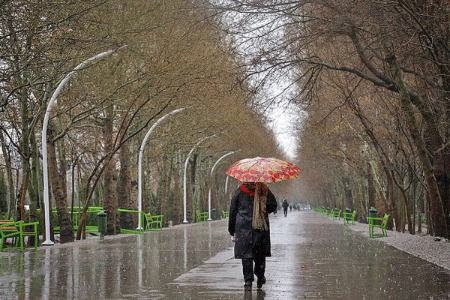 بارش باران،اخبار اجتماعی،خبرهای اجتماعی بارش باران،اخبار اجتماعی،خبرهای اجتماعی