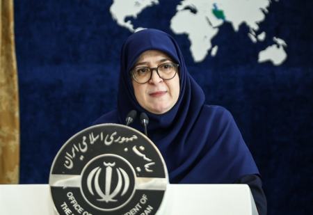 سخنگوی دولت،اخبار سیاسی،خبرهای سیاسی سخنگوی دولت،اخبار سیاسی،خبرهای سیاسی