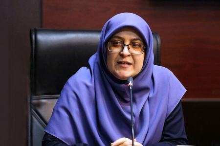 سخنگوی دولت،اخبار سیاسی،خبرهای سیاسی سخنگوی دولت،اخبار سیاسی،خبرهای سیاسی