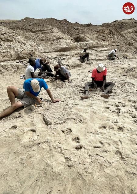 ردپا،اخبار گوناگون،خبرهای گوناگون ردپا،اخبار گوناگون،خبرهای گوناگون