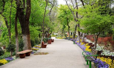 پارک قیطریه،اخبار اجتماعی،خبرهای اجتماعی