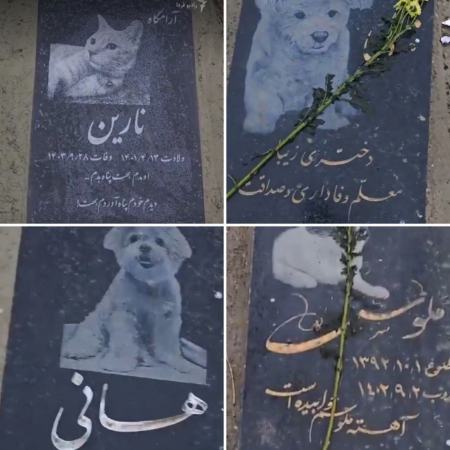 قبرستان حیوانات خانگی در تهران،اخبار اجتماعی،خبرهای اجتماعی قبرستان حیوانات خانگی در تهران،اخبار اجتماعی،خبرهای اجتماعی