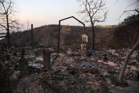 خانه ستارگان هالیوود،اخبار فرهنگی،خبرهای فرهنگی خانه ستارگان هالیوود،اخبار فرهنگی،خبرهای فرهنگی