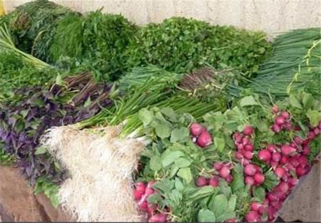 سبزیجات،اخبار اقتصادی،خبرهای اقتصادی سبزیجات،اخبار اقتصادی،خبرهای اقتصادی