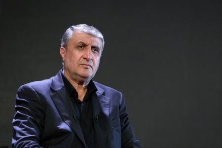 رییس سازمان انرژی اتمی،اخبار سیاست خارجی،خبرهای سیاست خارجی