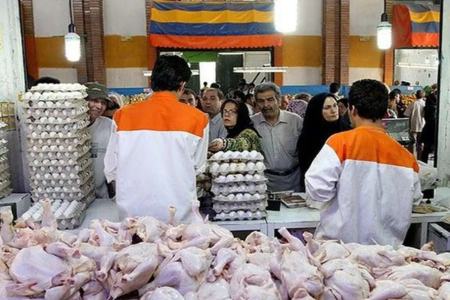 مرغ،اخبار اقتصادی،خبرهای اقتصادی مرغ،اخبار اقتصادی،خبرهای اقتصادی