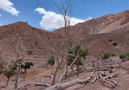 خشکسالی در ایران،اخبار اجتماعی،خبرهای اجتماعی خشکسالی در ایران،اخبار اجتماعی،خبرهای اجتماعی