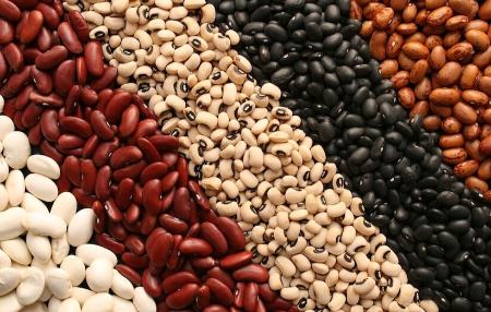 لوبیا،اخبار اقتصادی،خبرهای اقتصادی لوبیا،اخبار اقتصادی،خبرهای اقتصادی