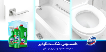 دامستوس، سفیدکنندهای مناسب برای توالت فرنگی سرامیکی دامستوس، سفیدکنندهای مناسب برای توالت فرنگی سرامیکی