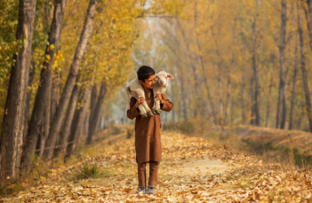 عکسهای جالب,عکسهای جذاب,چوپان کودک در کشمیر