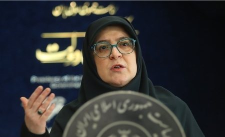  سخنگوی دولت,اخبارسیاسی ,خبرهای سیاسی  