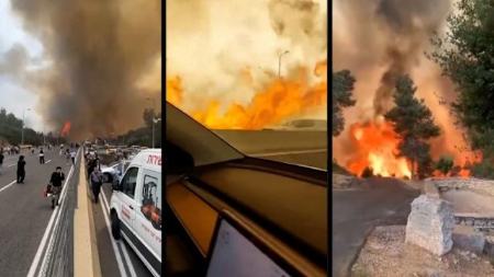 آتش سوزی در اسرائیل،اخبار حوادث،خبرهای حوادث آتش سوزی در اسرائیل،اخبار حوادث،خبرهای حوادث