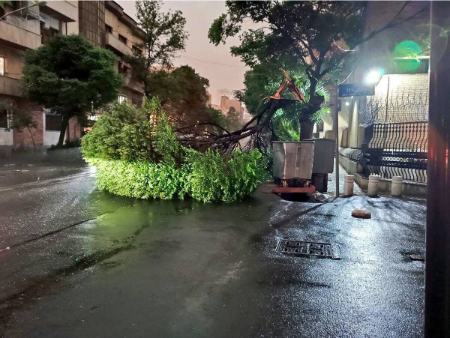 طوفان،اخبار حوادث،خبرهای حوادث طوفان،اخبار حوادث،خبرهای حوادث