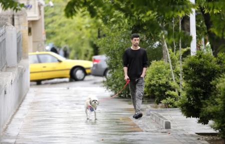 ممنوعیت سگ گردانی در ایران،اخبار اجتماعی،خبرهای اجتماعی ممنوعیت سگ گردانی در ایران،اخبار اجتماعی،خبرهای اجتماعی