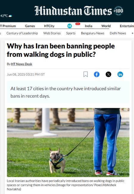 ممنوعیت سگ گردانی در ایران،اخبار اجتماعی،خبرهای اجتماعی ممنوعیت سگ گردانی در ایران،اخبار اجتماعی،خبرهای اجتماعی