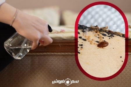 سمپاشی ساس منزل با سم ساس ناک اوت سمپاشی ساس منزل با سم ساس ناک اوت