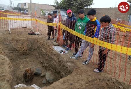 مومیایی،اخبار گوناگون،خبرهای گوناگون مومیایی،اخبار گوناگون،خبرهای گوناگون