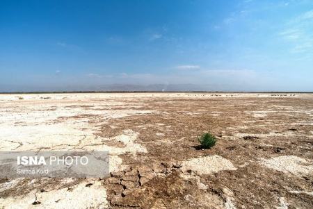 آلودگی هوا در تهران،اخبار اجتماعی،خبرهای اجتماعی آلودگی هوا در تهران،اخبار اجتماعی،خبرهای اجتماعی