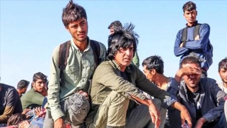 افغانی ها در ایران،اخبار سیاسی،خبرهای سیاسی افغانی ها در ایران،اخبار سیاسی،خبرهای سیاسی