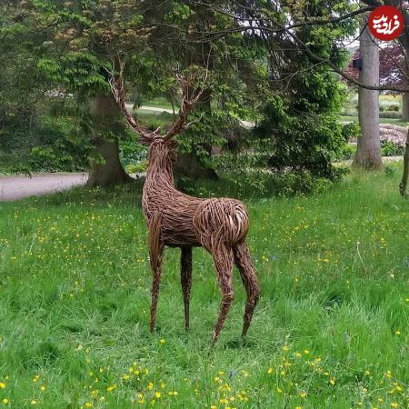مجسمه،اخبار گوناگون،خبرهای گوناگون مجسمه،اخبار گوناگون،خبرهای گوناگون