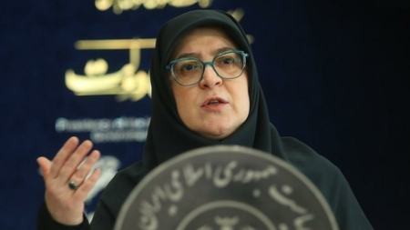 سخنگوی دولت،اخبار سیاسی،خبرهای سیاسی سخنگوی دولت،اخبار سیاسی،خبرهای سیاسی