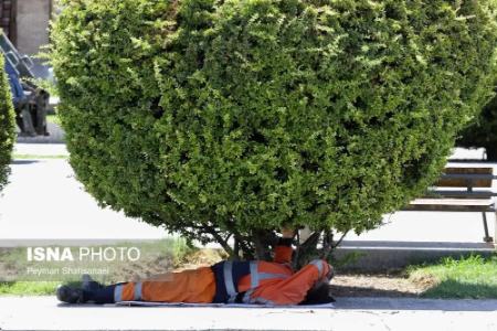 عکس خبری،گرما در تهران و اصفهان عکس خبری،گرما در تهران و اصفهان