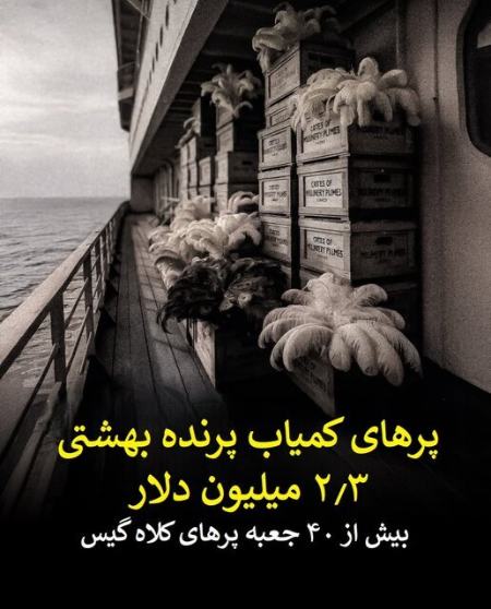 تایتانیک،اخبار گوناگون،خبرهای گوناگون تایتانیک،اخبار گوناگون،خبرهای گوناگون