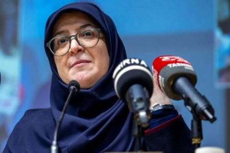 سخنگوی دولت،اخبار سیاسی،خبرهای سیاسی سخنگوی دولت،اخبار سیاسی،خبرهای سیاسی
