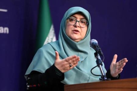سخنگوی دولت،اخبار سیاسی،خبرهای سیاسی سخنگوی دولت،اخبار سیاسی،خبرهای سیاسی