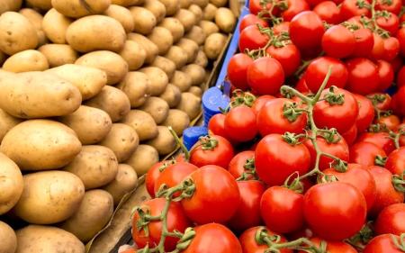 گوجه و سیب زمینی،اخبار علمی،خبرهای علمی گوجه و سیب زمینی،اخبار علمی،خبرهای علمی