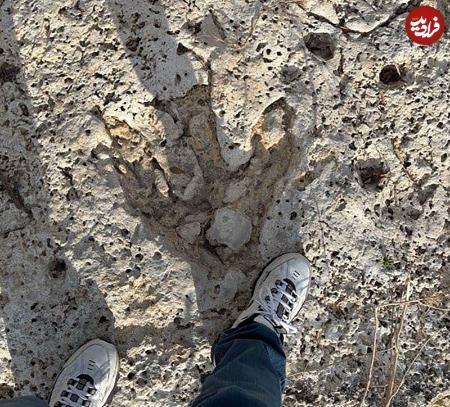 ردپای هیولاهای گوشتخوار،اخبار گوناگون،خبرهای گوناگون