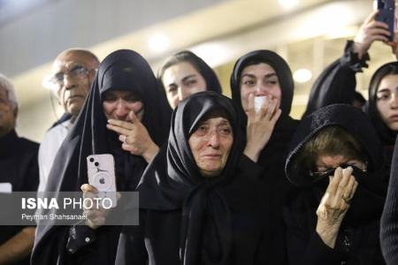 عکس خبری،پیکر محمود فرشچیان